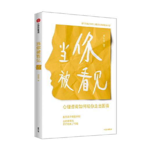 当你被看见 心理咨询如何帮你走出困境 胡素卿 著 心理学 商品图0