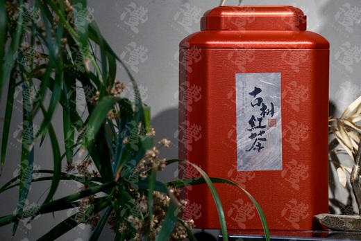 武夷野生正山小种 500克罐装 商品图2