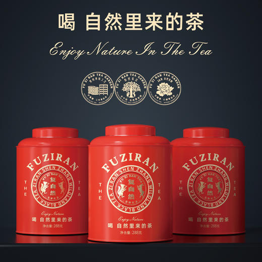【红罐】不提香的复自然荒野红茶 不提香 口感更自然 商品图1