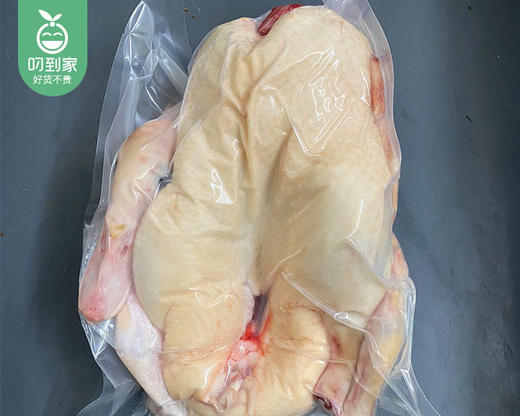 南安放养水库嫩番鸭母（杀完带内脏1.15kg±100g/只） 商品图3