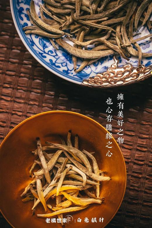 白毫银针荒野头采银针2022年特级散茶白茶 商品图10