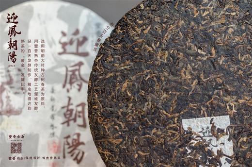 豐普古茶 2021年迎凤朝阳 普洱茶熟茶 商品图3