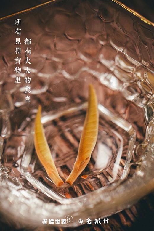 白毫银针荒野头采银针2022年特级散茶白茶 商品图11