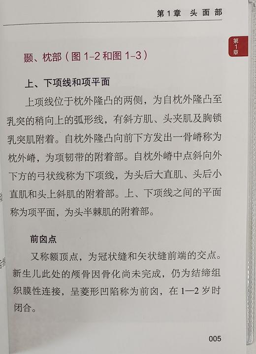 人体体表解剖速查 体表各肌肉的起止点运动功能及神经支配 人体表面解剖图谱 郭长青 黄怡然 主编9787504692047中国科学技术出版社 商品图4