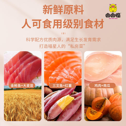 肉肉怪氮气猫条营养增肥发腮三文鱼金枪鱼味宠物猫咪成猫幼猫零食60g 商品图1