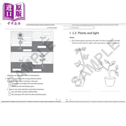 NEW Cambridge Primary Science Workbook 1剑桥小学科学练习册一年级 商品图4