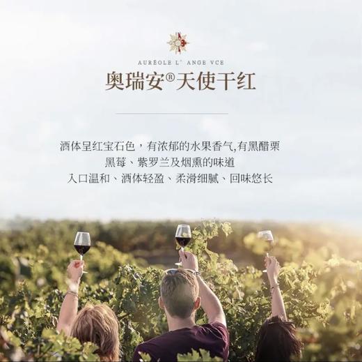 【国际奖项加身】奥瑞安天使干红葡萄酒 法国进口 14.5%vol 商品图3