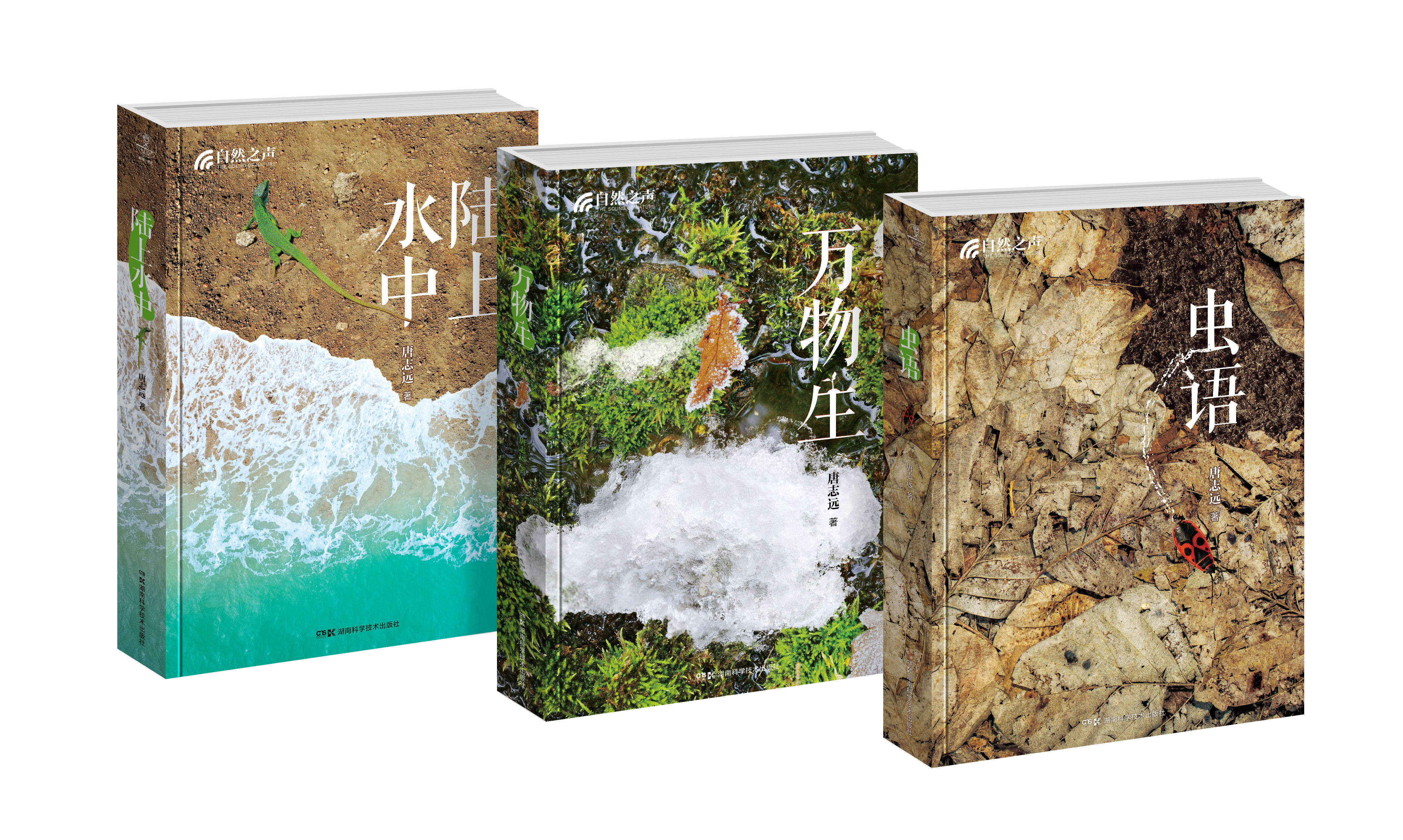 自然之声（自然摄影大师——唐志远老师二十年的倾情力作，带领读者探寻隐藏在我们身边的不可思议的自然之美！）