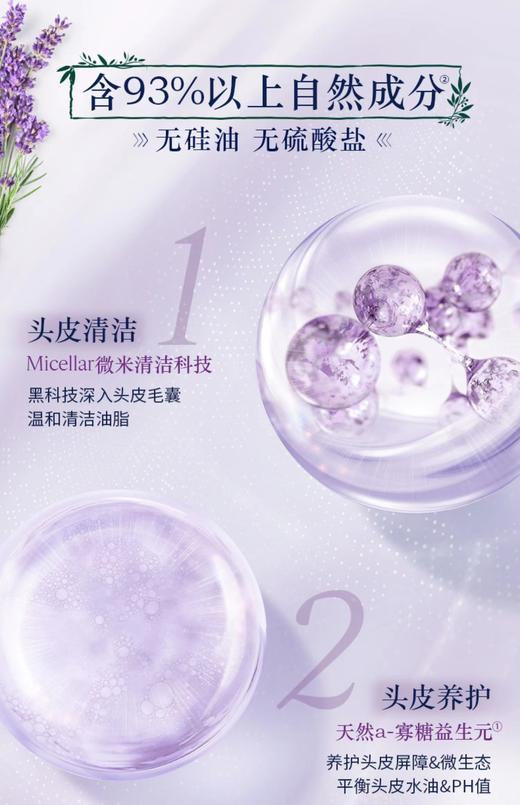 欧舒丹（L'OCCITANE）5合1草本菁纯平衡洗发水500ML 商品图5