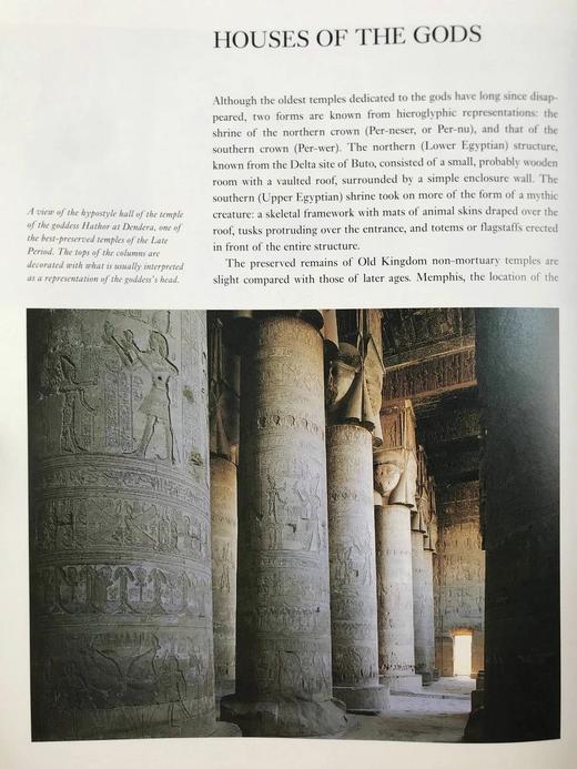 古埃及图集 200余幅插图 精装16开 商品图9