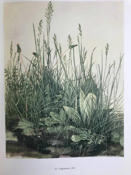 丢勒画集 143幅插图 精装大16开 商品图7