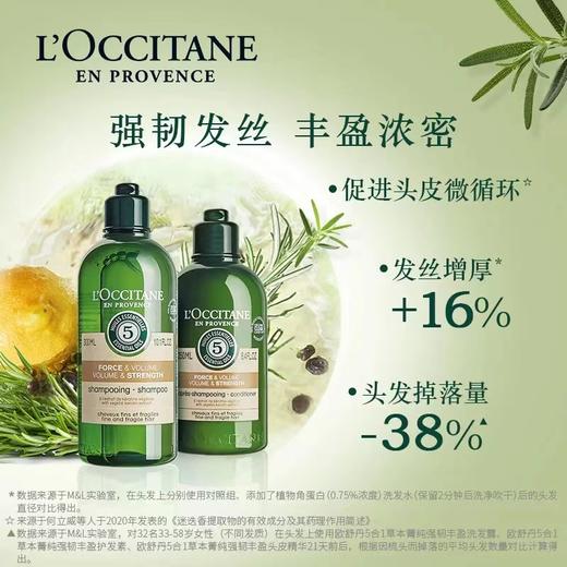 欧舒丹（L'OCCITANE）强韧丰盈防脱发洗发水500ML 商品图1