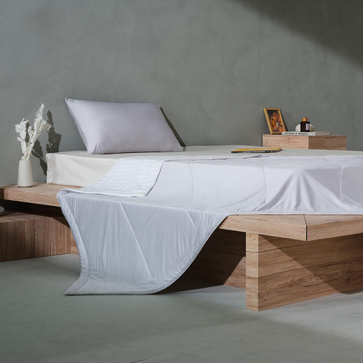 夏季特惠|Downland Cool Fresh顺滑款冷感被 120*150cm[福利品] 商品图1