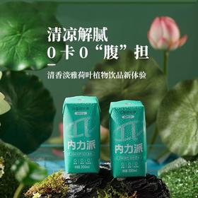 内力派白莲荷叶茶200ml
