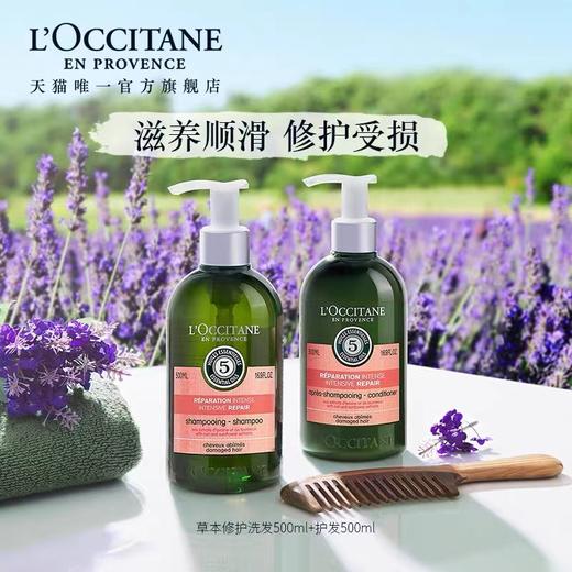 欧舒丹（L'OCCITANE）草本菁纯修护洗发水 商品图2