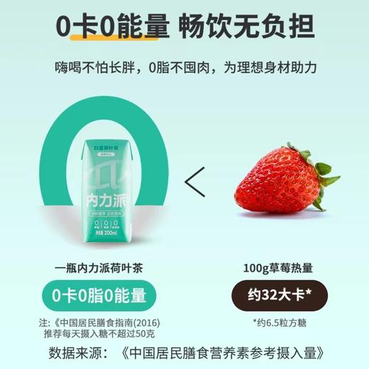 内力派白莲荷叶茶200ml 商品图3