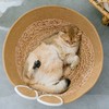 卡通藤编猫窝四季通用半封闭夏天凉窝垫子工蒲草编制狗狗宠物窝 商品缩略图6