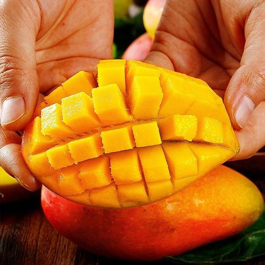 金凤凰芒果  500g/份 商品图2