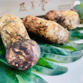 特级鲜松茸菌 250g/份