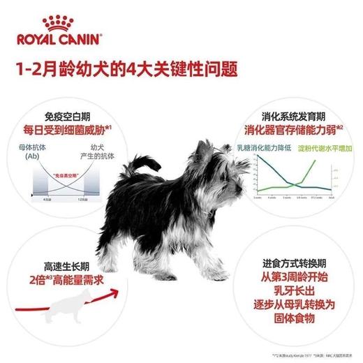 皇家奶糕MIS30狗粮 小型犬幼犬离乳期贵宾通用型犬狗主粮1/3/10kg 商品图2