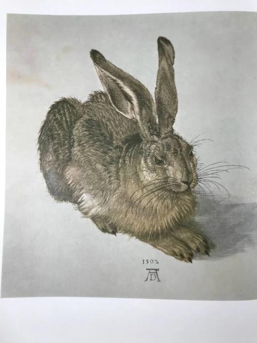 丢勒画集 143幅插图 精装大16开 商品图8