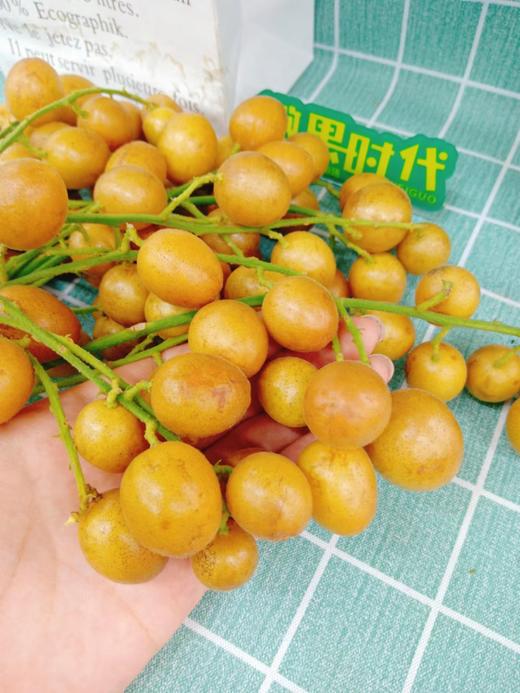 黄皮果一斤（拼团） 商品图2