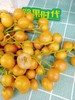 黄皮果一斤（拼团） 商品缩略图3