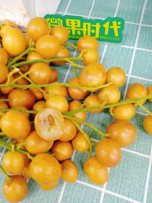 黄皮果一斤（拼团） 商品图3