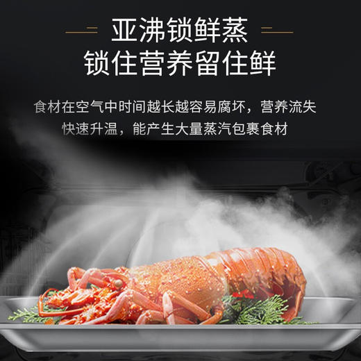 西门子（SIEMENS）嵌入式蒸箱蒸汽炉 30种自动程序45L大容量专用蒸箱 CD289ABS0W 商品图3