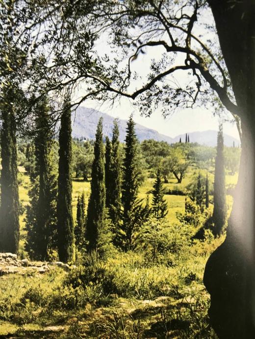 尤利西斯历险记：图解荷马史诗 71幅彩色插图 精装16开 商品图13