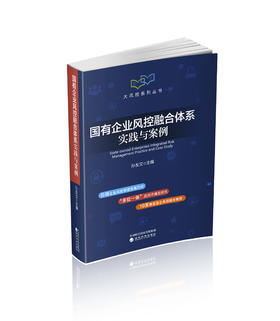 国有企业风控融合体系实践与案例-—大风控系列丛书