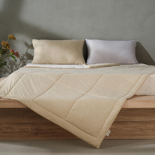 夏季特惠|Downland Cool Fresh干爽款冷感被 200*230cm[福利品] 商品图1