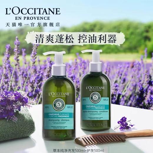 欧舒丹（L'OCCITANE）草本菁纯纯净洗发水300ML 商品图1