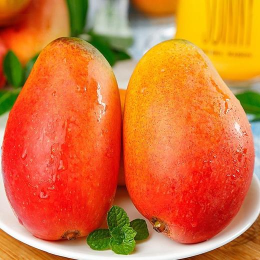 金凤凰芒果  500g/份 商品图3