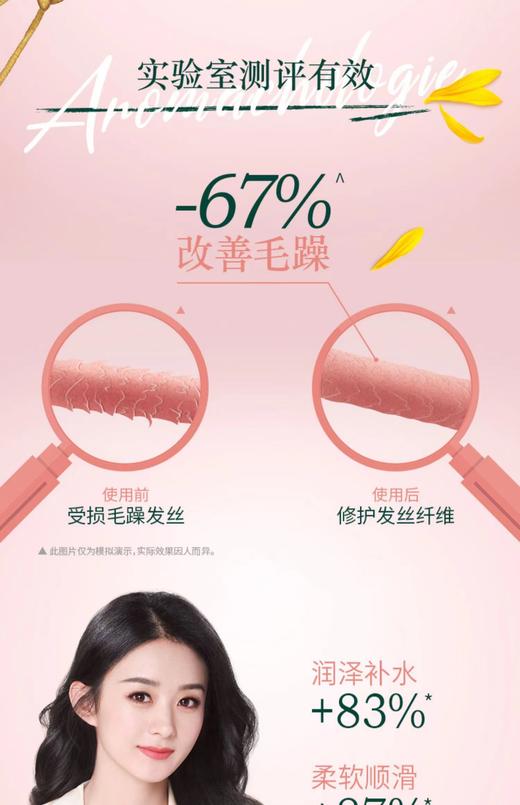 欧舒丹（L'OCCITANE）草本菁纯修护洗发水 商品图1