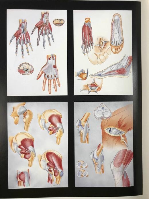 皇家维多利亚医院史 87幅插图 精装16开 商品图6