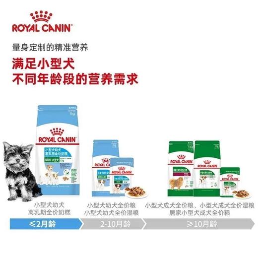 皇家奶糕MIS30狗粮 小型犬幼犬离乳期贵宾通用型犬狗主粮1/3/10kg 商品图1