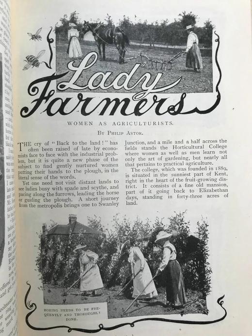 1900年8月-1901年1月 哈姆斯沃斯杂志 数百幅插图 布面精装18开 商品图13