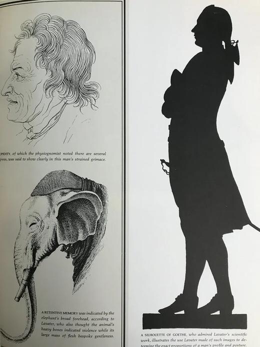 彼得·盖伊《启蒙运动时代》 数百幅插图 精装16开 商品图13