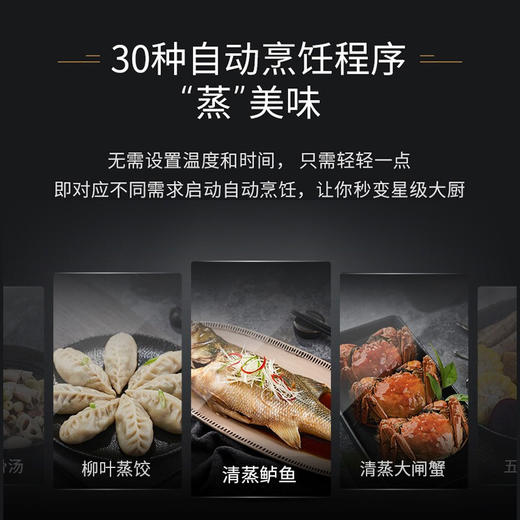 西门子（SIEMENS）嵌入式蒸箱蒸汽炉 30种自动程序45L大容量专用蒸箱 CD289ABS0W 商品图4