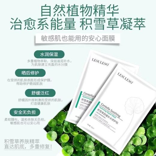 Lesuleso丽素 补水祛黄铜肽冻干粉/冷敷贴/青虾素/积雪草面膜 5片*5盒 商品图10