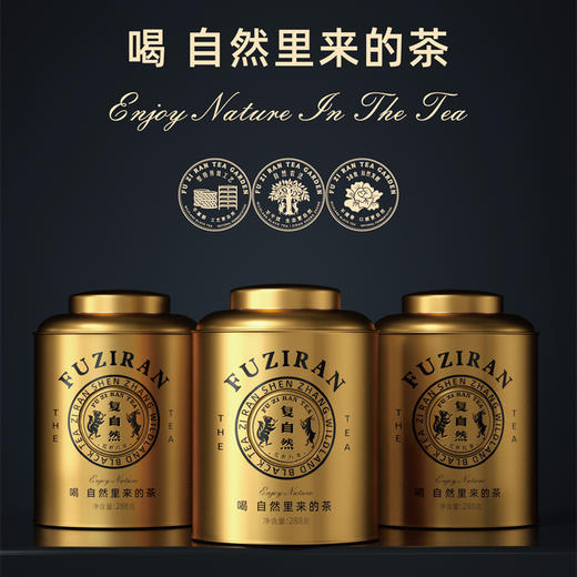 【金罐】不提香的复自然荒野红茶 商品图2
