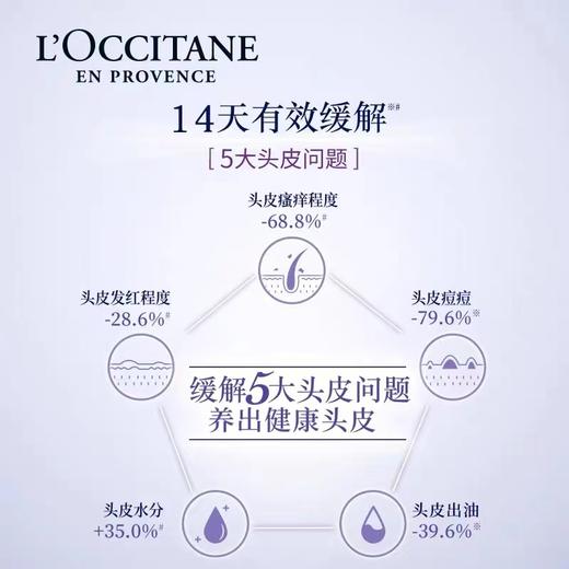 欧舒丹（L'OCCITANE）5合1草本菁纯平衡洗发水500ML 商品图2