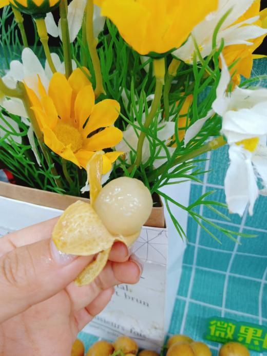 黄皮果一斤（拼团） 商品图4