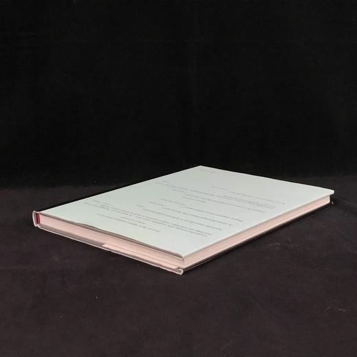 诗中的美国 100幅插图（50幅彩色） 精装16开 商品图2