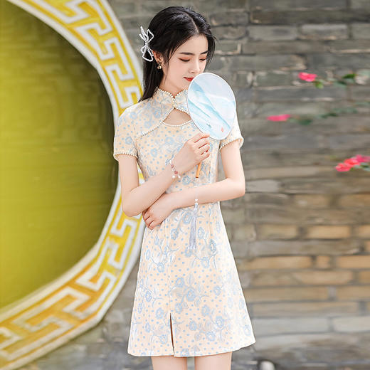 2022年新款春夏素雅法式短款遮肉复古改良版连衣裙  TY-WM001 商品图3