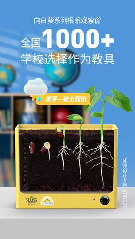 自然教育 |【升级版】成长日记套装向日葵