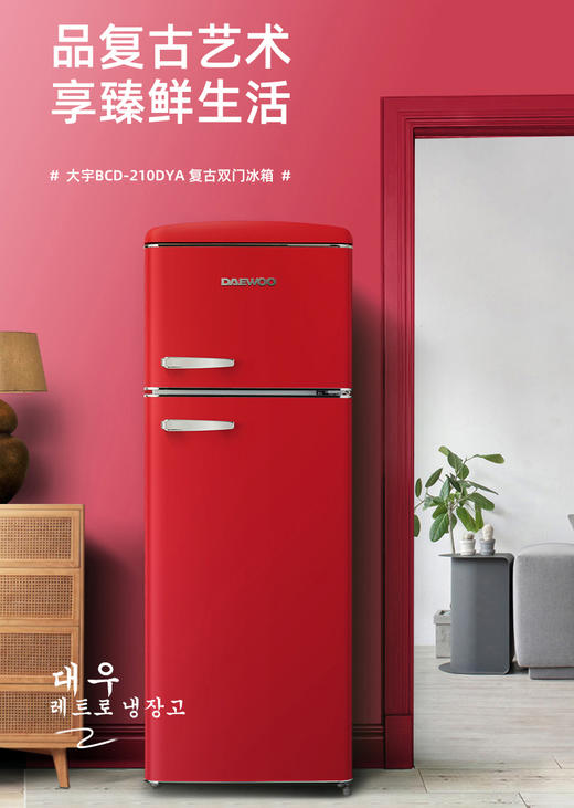 DAEWOO韩国大宇小冰箱家用小型双开门冷柜办公室宿舍用复古电冰箱 商品图0