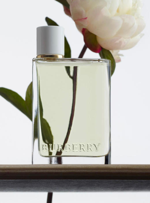 价值1500+，免税柜台tester  BURBERRY ‮漾果‬女士‮香淡‬水！！！
这个‮青小‬梨，真‮太的‬好闻了～
极简‮的风‬淡绿色瓶身，高级感十足，出门‮一前‬喷！一整天‮是都‬花果香！ 商品图1