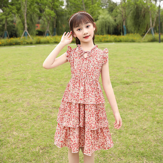 DY-1695女童连衣裙韩版大童夏季裙子童装儿童夏装女孩雪纺碎花裙 商品图0